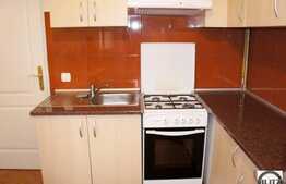 2 camere, 55 mp, mobilat complet, zona Piata Unirii