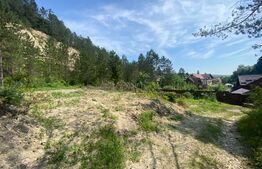 Teren intravilan, 743 mp, 30 ml front la drum,  Cheile Baciului