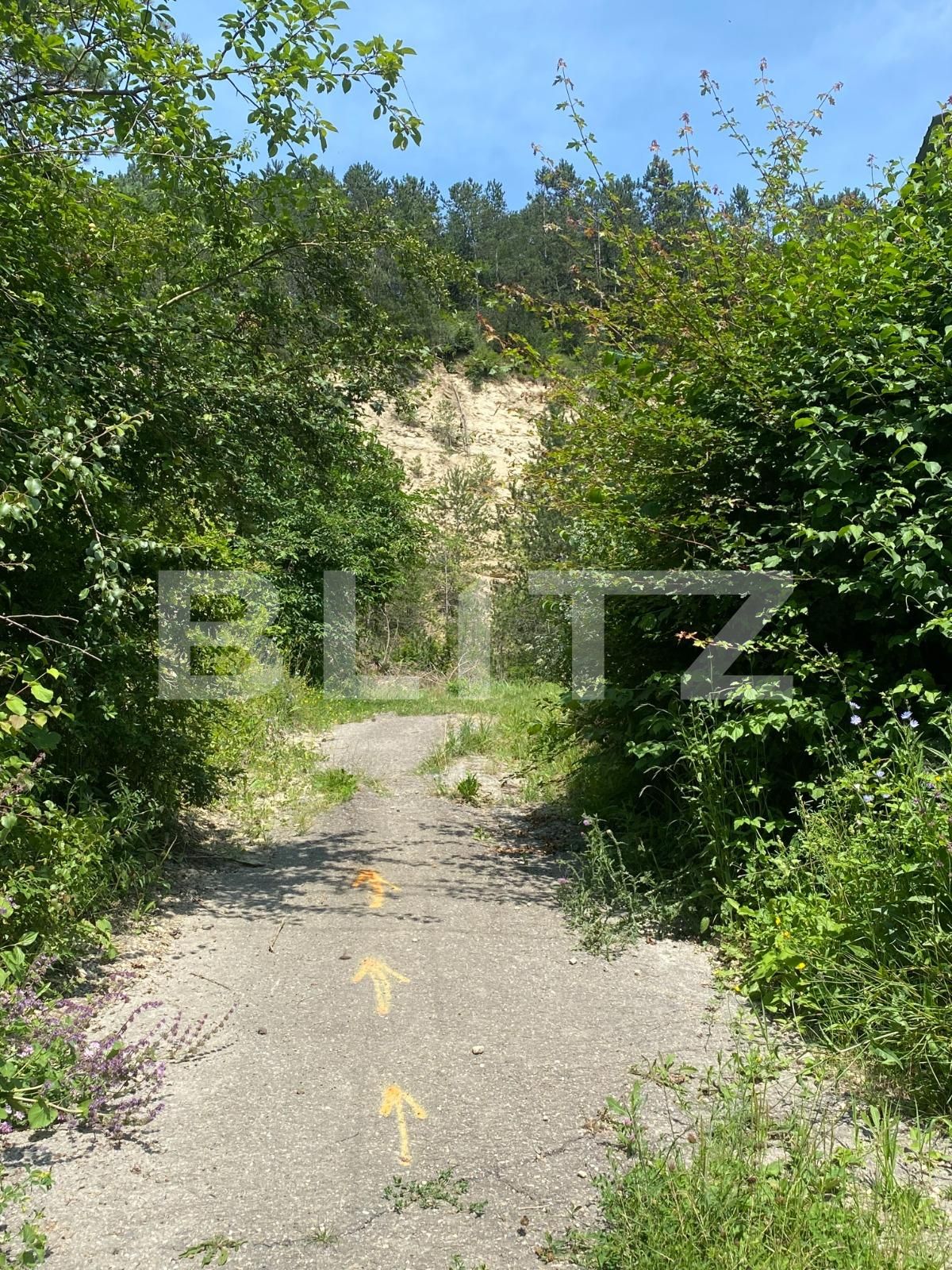 Teren de vânzare Baciu - 120705TV | BLITZ Cluj-Napoca | Poza2