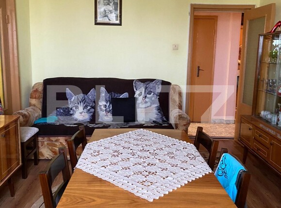 Apartament de vânzare 3 camere Astra - 120718AV | BLITZ Brașov | Poza10