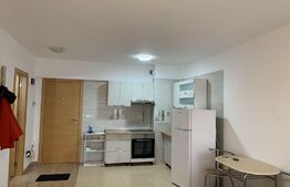 Apartament 2 camere, 45 mp, parcare, Viva City