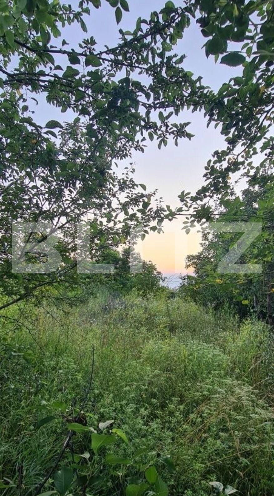 Teren de vânzare Cojocna - 120739TV | BLITZ Cluj-Napoca | Poza2