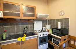 Apartament 2 camere, 60 mp utili, zona Casa de Cultura a Studentilor