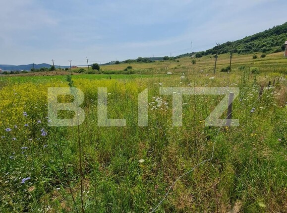 Teren de vânzare Luna - 120751TV | BLITZ Cluj-Napoca | Poza1