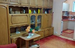 Garsoniera, 30 mp utili, zona Muncii