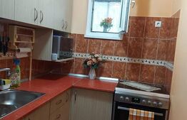 Garsoniera, 30 mp utili, zona Muncii