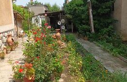  Casa individuala, zona centrala, Campia Turzii, 696 mp teren