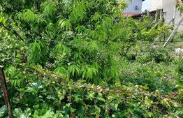  Casa individuala, zona centrala, Campia Turzii, 696 mp teren