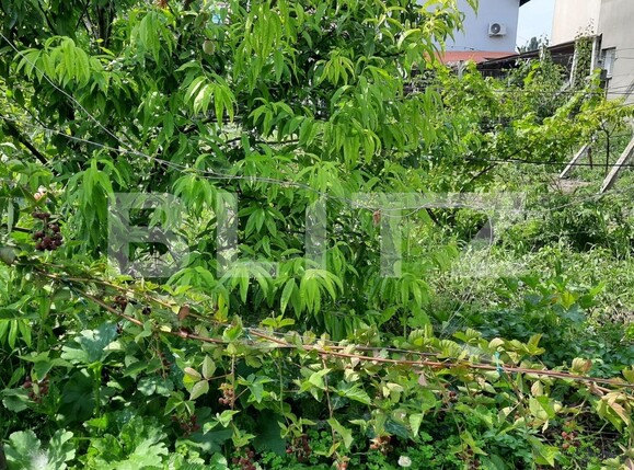 Casa de vânzare 5 camere Câmpia Turzii - 120773CV | BLITZ Cluj-Napoca | Poza19