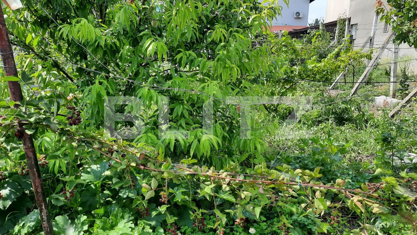 Casa de vânzare 5 camere Câmpia Turzii - 120773CV | BLITZ Cluj-Napoca | Poza19