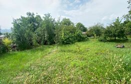  Casă individuală 4 camere, 130 mp, grădină/livadă 800 mp, zona Dambul Rotund