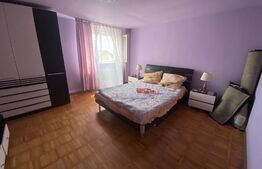  Casă individuală 4 camere, 130 mp, grădină/livadă 800 mp, zona Dambul Rotund