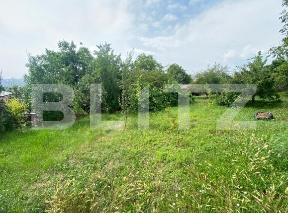 Casa de vânzare 4 camere Dambul Rotund - 120777CV | BLITZ Cluj-Napoca | Poza5