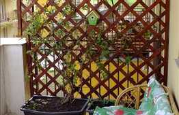 Apartament cochet cu 2 camere, 56 mp, decomandat, zona Porii! 13 mp TERASA!