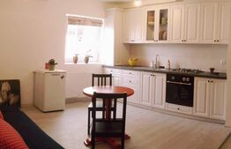 Apartament 2 camere, 44mp, intermediar, parcare, zona Vivo