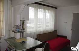 Apartament 2 camere, 43 mp utili, boxa la subsol, zona strazii Padis!