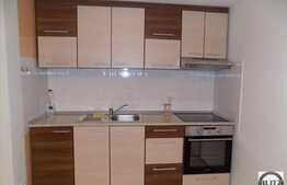 Apartament cu 2 camere, 43 mp, in Viva City, mobilat si utilat modern. Terasa 15 mp!
