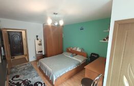 Garsoniera, etaj intermediar, 28 mp, Manastur