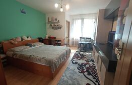 Garsoniera, etaj intermediar, 28 mp, Manastur