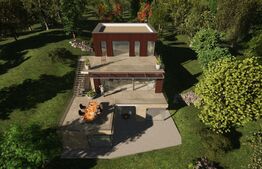 Vila 5 camere, 273mp, Grigorescu