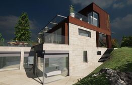 Vila 5 camere, 273mp, Grigorescu