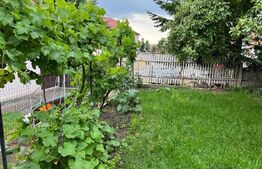 Exclusivitate-Casa 1 camera, 42mp,  Huedin