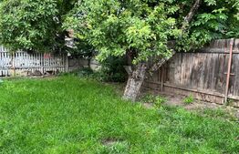 Exclusivitate-Casa 1 camera, 42mp,  Huedin