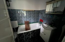 Exclusivitate-Casa 1 camera, 42mp,  Huedin