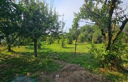 Exclusiv! Casa finisata, 3 camere, 137mp, garaj, teren 1472 mp, in Apahida central