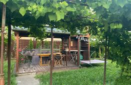 Casa de locuit, renovata modern, 150mp utili si teren 1400mp, zona Bod