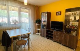 Apartament 3 camere, 65mp, terasa, zona Tautului