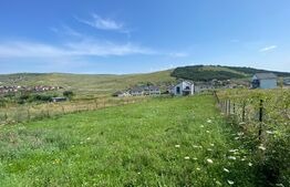  Teren intravilan, 966 mp, front 21 ml, Campenesti