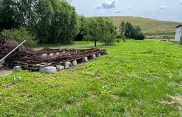 Teren intravilan, 2900mp, Dezmir + Casa