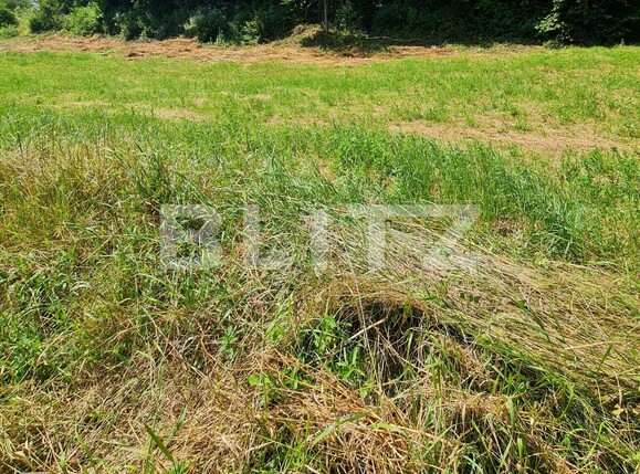 Teren de vânzare Floreşti - 121284TV | BLITZ Cluj-Napoca | Poza1