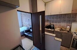 Garsoniera, mobilata+utilata, etaj intermediar, 21 mp, zona Traian Vuia