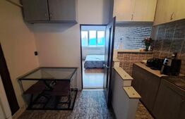 Garsoniera, mobilata+utilata, etaj intermediar, 21 mp, zona Traian Vuia