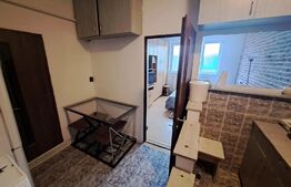 Garsoniera, mobilata+utilata, etaj intermediar, 21 mp, zona Traian Vuia