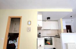 Apartament 2 camere 50mp, acces facil, zona Muzeul Apei