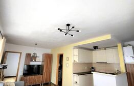 Apartament 2 camere 50mp, acces facil, zona Muzeul Apei