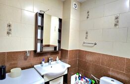 Apartament 2 camere 50mp, acces facil, zona Muzeul Apei