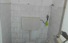 Apartament, 3 camere, 130 mp utili, teren 100 mp, zona strazii Gruia !