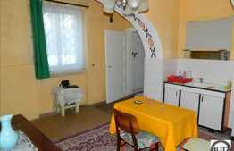 Apartament, 3 camere, 130 mp utili, teren 100 mp, zona strazii Gruia !