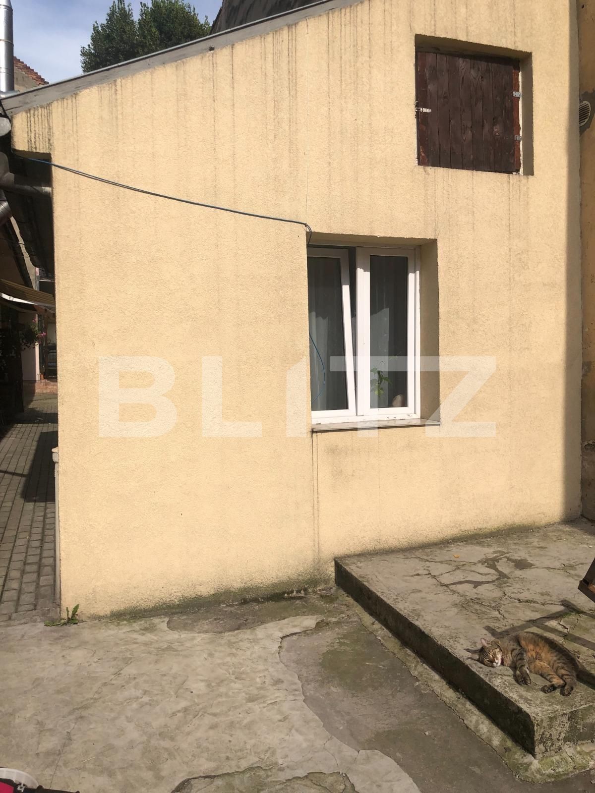 Casa de închiriat 1 camera Central - 121447CI | BLITZ Cluj-Napoca | Poza18