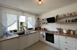 Casa 4 camere, 140 mp utili, 550mp teren, Salicea