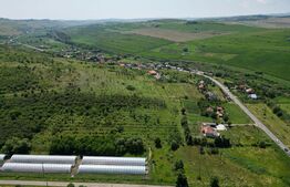 Teren, 2800 mp, Apahida