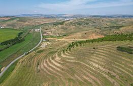 Teren, 2800 mp, Apahida