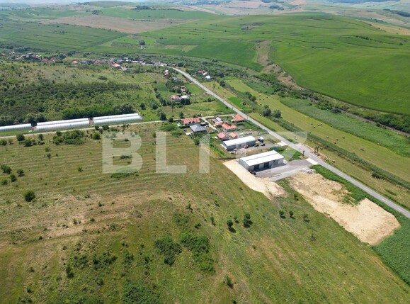 teren mare construibil cluj apahida  | Poza5