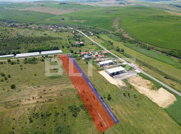 teren mare construibil cluj apahida  | Poza1