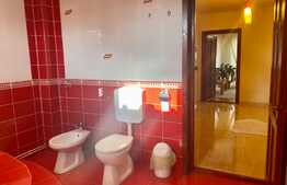 Apartament spatios cu 2 camere decomandate la casa, 80 mp, zona strazii Iasomiei, zona Auchan, Iris