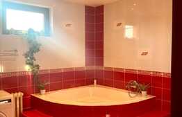 Apartament spatios cu 2 camere decomandate la casa, 80 mp, zona strazii Iasomiei, zona Auchan, Iris